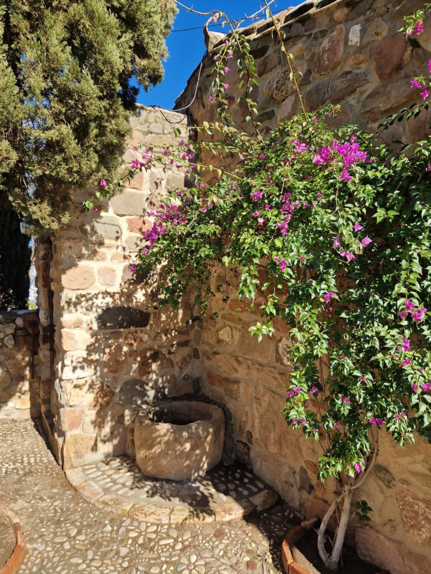 Colonos Alojamientos Rurales Guarromán 외부 사진